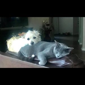 Meet your Posher, Candace